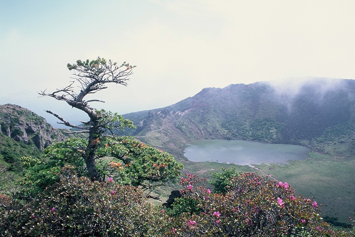 계절별 한라산 정상의 백록담 분화구 모습