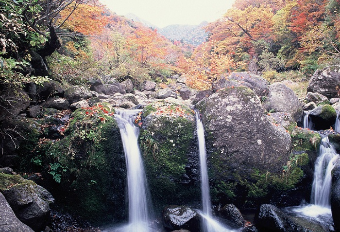  이번 사진전은 한라산의 다양한 모습과 이 곳에 서식하는 동•식물을 생생히 보여준다.