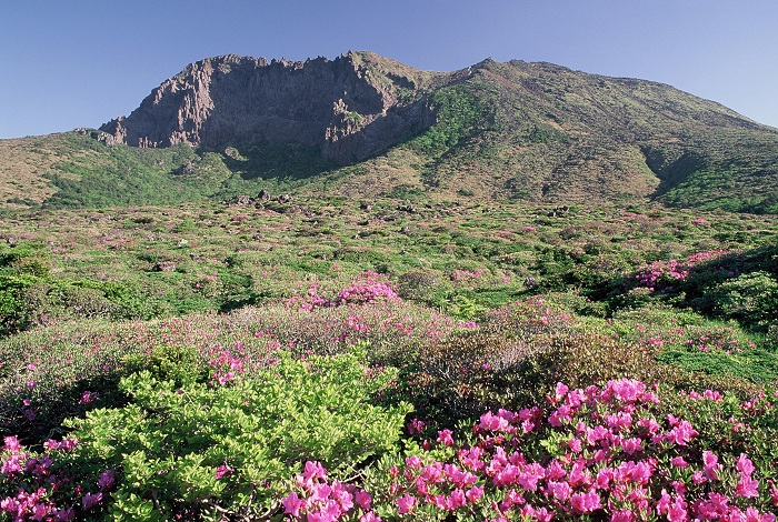  이번 사진전은 한라산의 다양한 모습과 이 곳에 서식하는 동•식물을 생생히 보여준다.