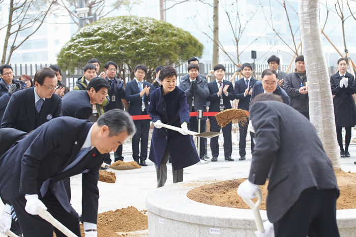 근혜 대통령이 23일 정부세종청사 완공식에 참석한 뒤, 기념식수를 하고 있다.