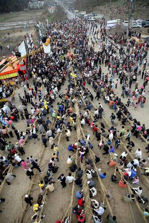 마을 주민들이 풍년을 기원하며 줄다리기를 하고 있다. 한국의 전통놀이인 줄다리기가 유네스코무형문화유산에 등재됐다.