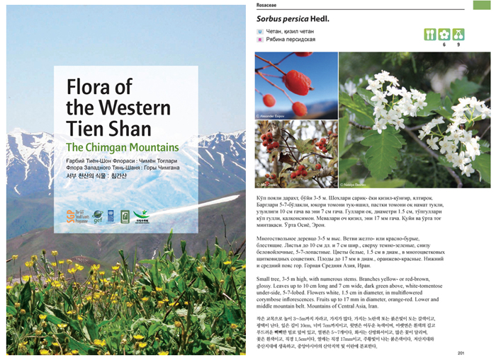 한·영·러·우즈베키스탄어 발간된 ‘서부 천산의 식물: 침간산’ 식물도감