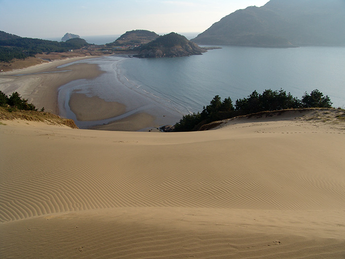 우이도의 모래언덕.