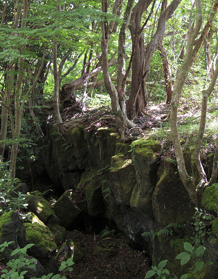 거문오름 분화구 안에 형성된 용암협곡.