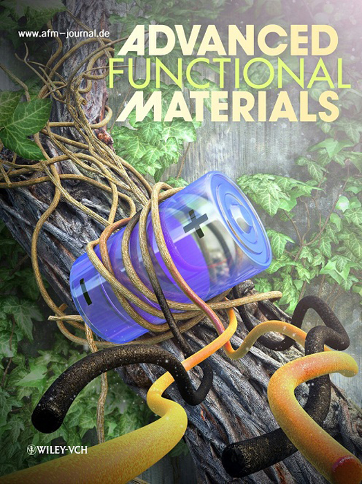 연구결과가 게재된 저널 Advanced Functional Materials의 표지.