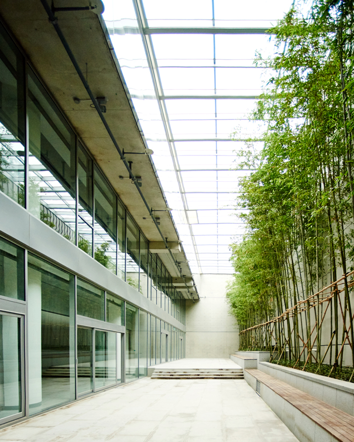 '빛의 숲'이라는 구상으로 설계된 문화전당은 대부분 건물을 지하에 신축하고 옥상을 시민들을 위한 공간으로 구성했다. 대나무숲(맨위)과 원형광장(아래) 역시 모두 지하에 자리잡았다.