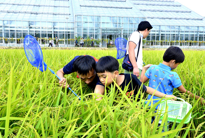 유기농생태 체험을 하고 있는 관람객들.3