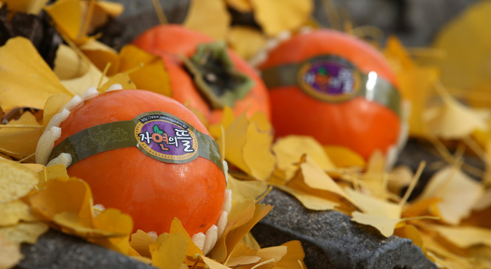 2011년 대한민국 과실대전에서 수상을 하는 등 품질을 인정받은 '자연의 뜰' 단감. 이제는 소비자 입소문과 온라인몰 직접 판매를 통해 성공적인 단감 브랜드로 정착하고 있다.