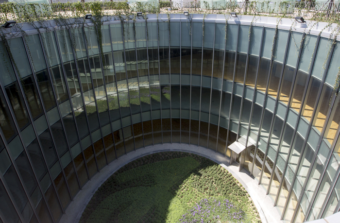 '빛의 숲'이라는 구상으로 설계된 문화전당은 대부분 건물을 지하에 신축하고 옥상을 시민들을 위한 공간으로 구성했다. 대나무숲(맨위)과 원형광장(아래) 역시 모두 지하에 자리잡았다.