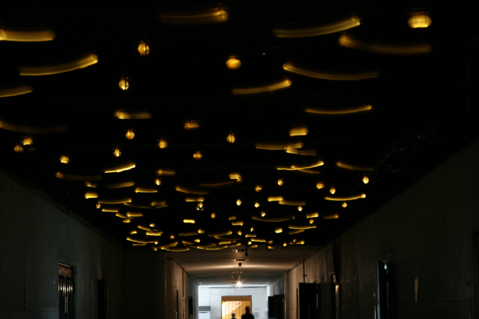 최우람의 Pendulum of Secret (사진: 국립현대미술관)