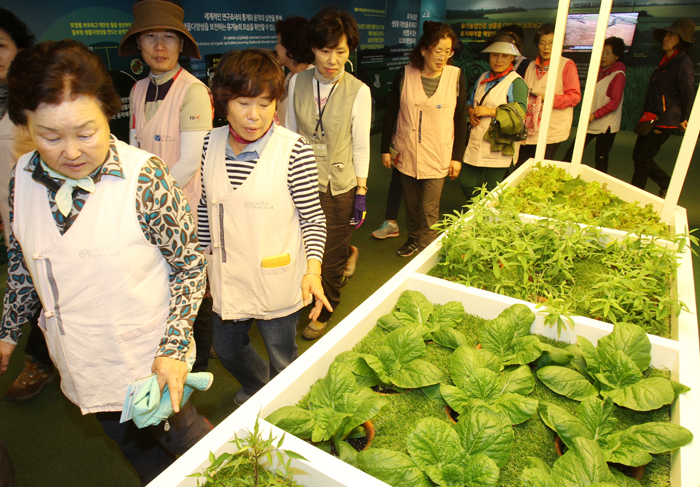 유기농생태 체험을 하고 있는 관람객들.