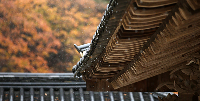 화엄사 처마끝에 지붕을 타고 내려온 빗물이 쉼 없이 떨어지고 있다. 