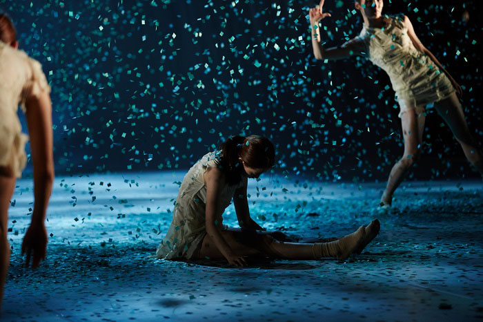 고양이의 꼬리와 동작을 통해 허위의식을 풍자한 아트 프로젝트 보라의 <꼬리언어학>