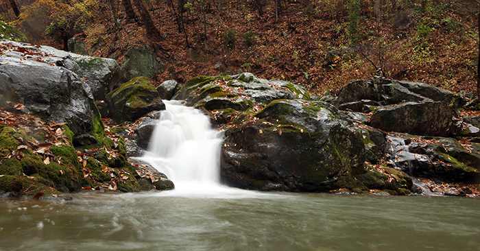 천은사 옆 자리잡은 계곡에서는 지리산에서 흘러내린 맑은 물이 흐른다. 