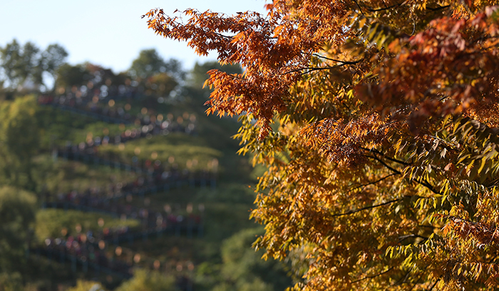 24일 붉고 노랗게 물든 가로수 길 뒤로 ‘천국의 계단’을 통해 하늘공원으로 올라가는 사람들이 보인다. 전한 기자