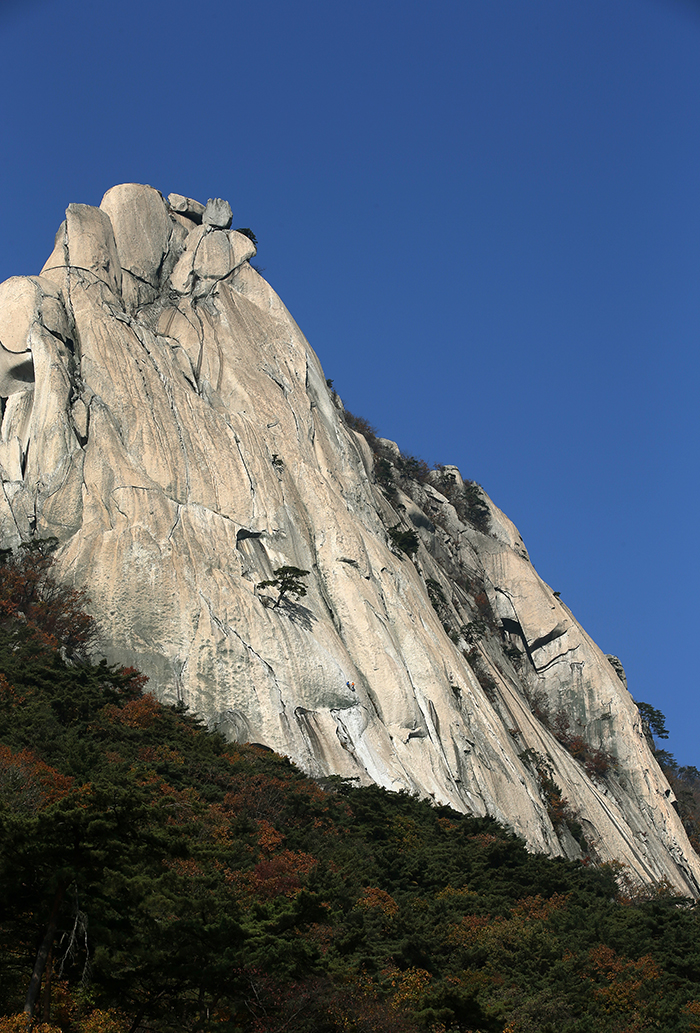  파란 가을 하늘이 눈부신 29일 등반객이 해발 708m의 도봉산 암벽, 선인봉을 오르고 있다.