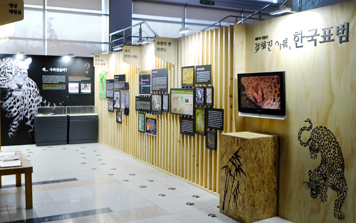 국립생물자원관 전시교육동 로비에서 진행 중인 전시회 ‘잊혀진 이름, 한국표범’.