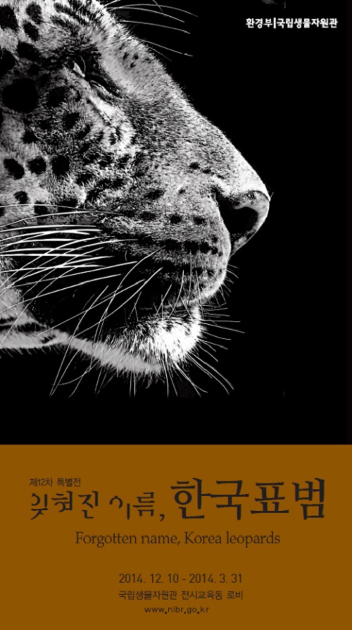  전시회 ‘잊혀진 이름, 한국표범’ 공식 포스터.