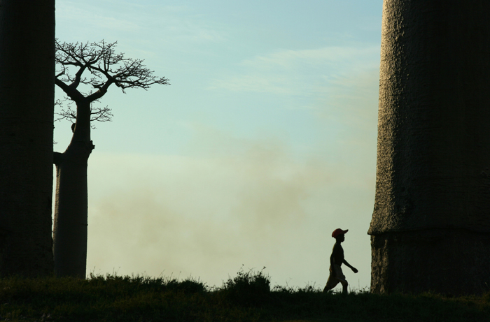 마다가스카르 사진1