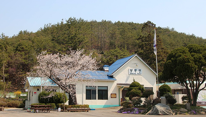 S-트레인이 지나게 되는 남평역은 봄날 사진 찍기 좋은 간이역이다. (사진제공 = 코레일)