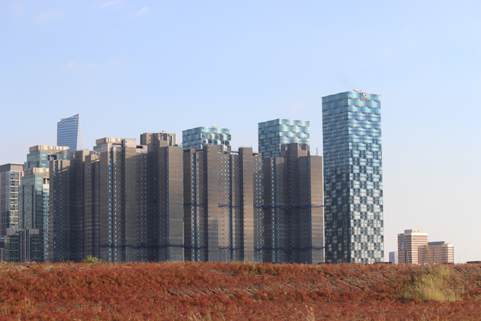 지난 3,4일 이틀간 인천 송도 국제도시 달빛공원에선 ‘더케이페스티벌’이 열렸다. 많은 시민들과 외국인들이 한데 어울려 K-Pop을 비롯, 전통놀이 등 한국문화를 체험했다.