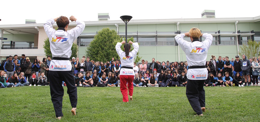 태권도 시범 공연
