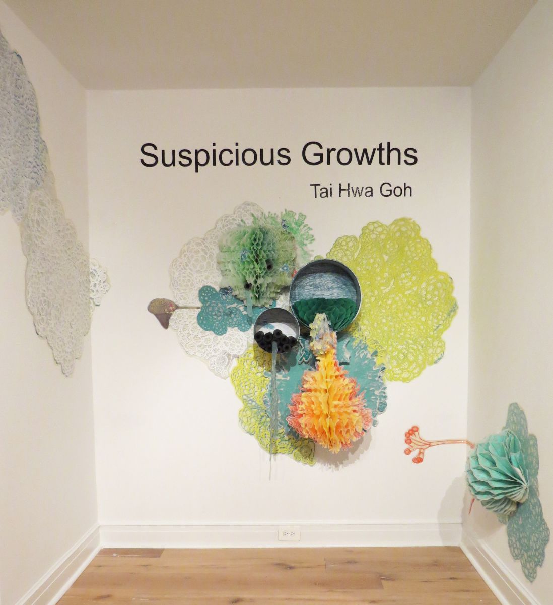 고태화 작가의 ‘수상한 생장(Suspicious Growths)’ 전시회가 2월 3일부터 24일까지 주워싱턴 한국문화원에서 열린다.