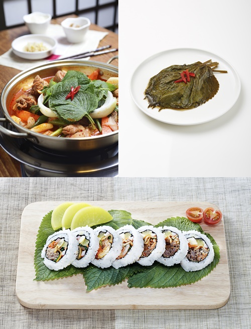 ▲ 깻잎은 비린내와 잡내를 없애는 데 탁월하기 때문에 무침이나 탕을 끓일 때 향신료로 쓰이며 깻잎절임 등 밑반찬의 주재료로 활용된다.