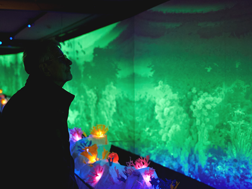 서귀포 앞바다 체험존