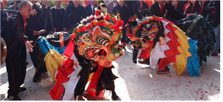 사이콩의 객가 유니콘 댄스