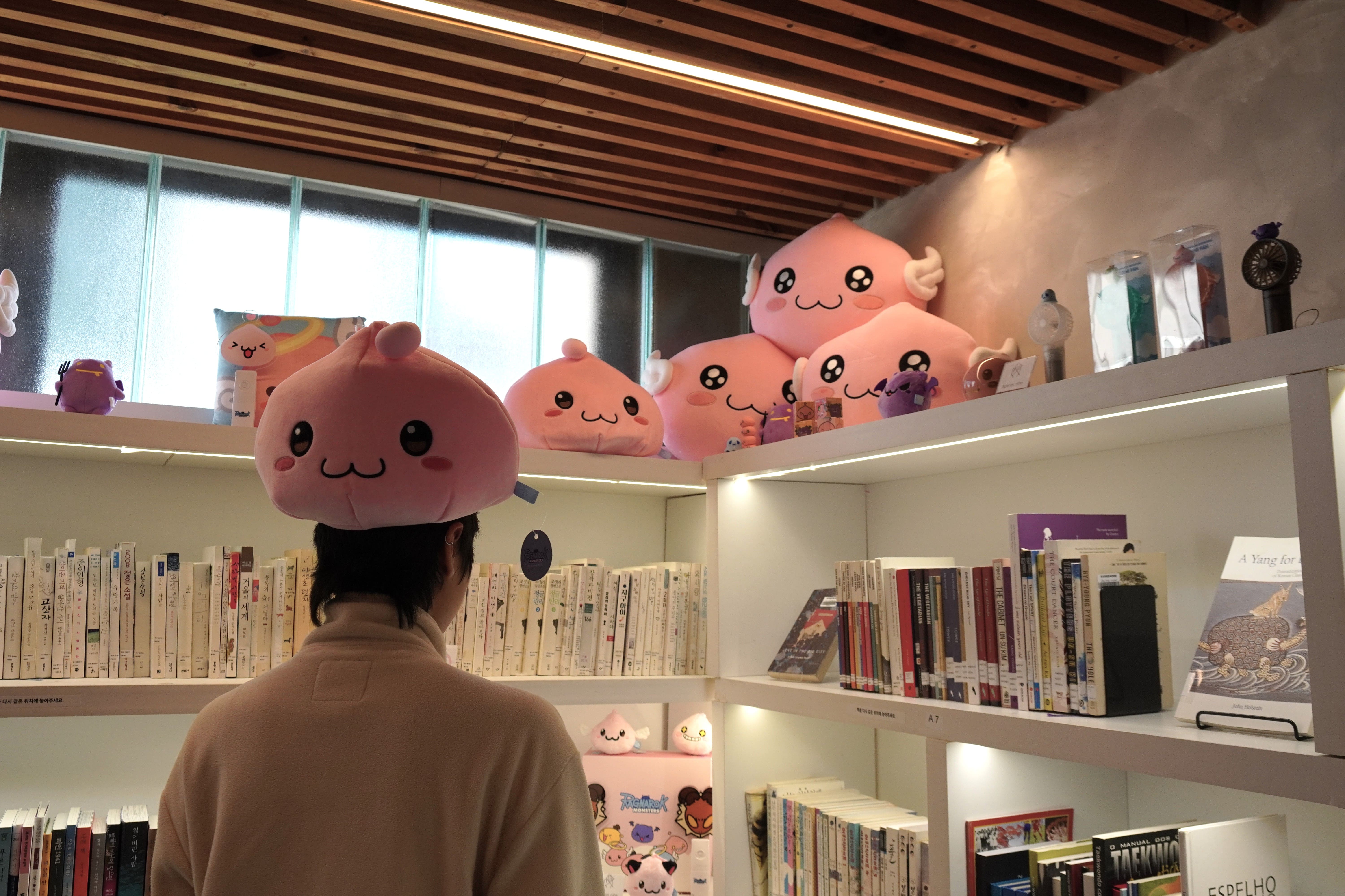 포링 모자와 전시