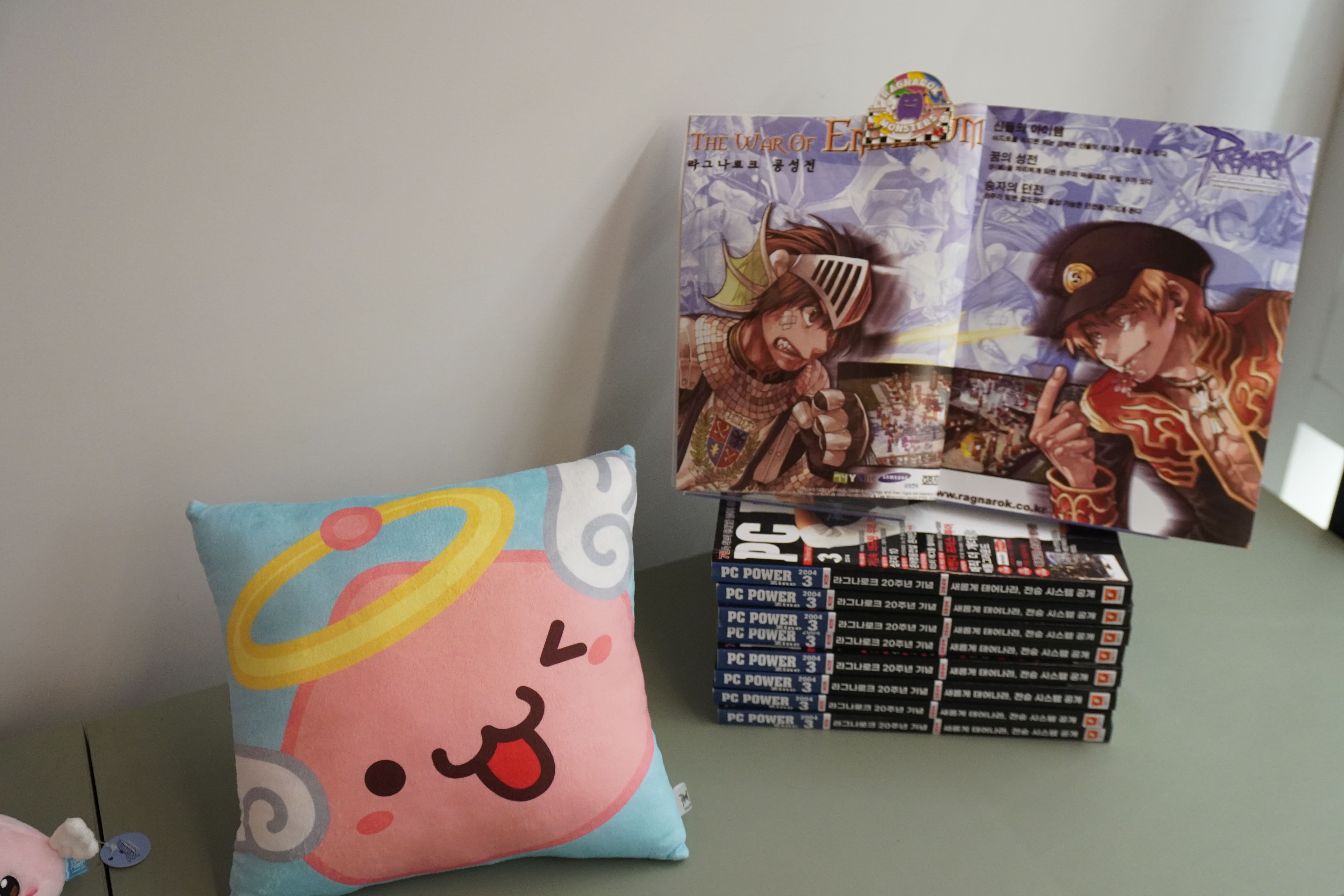 전시의 책과 베개