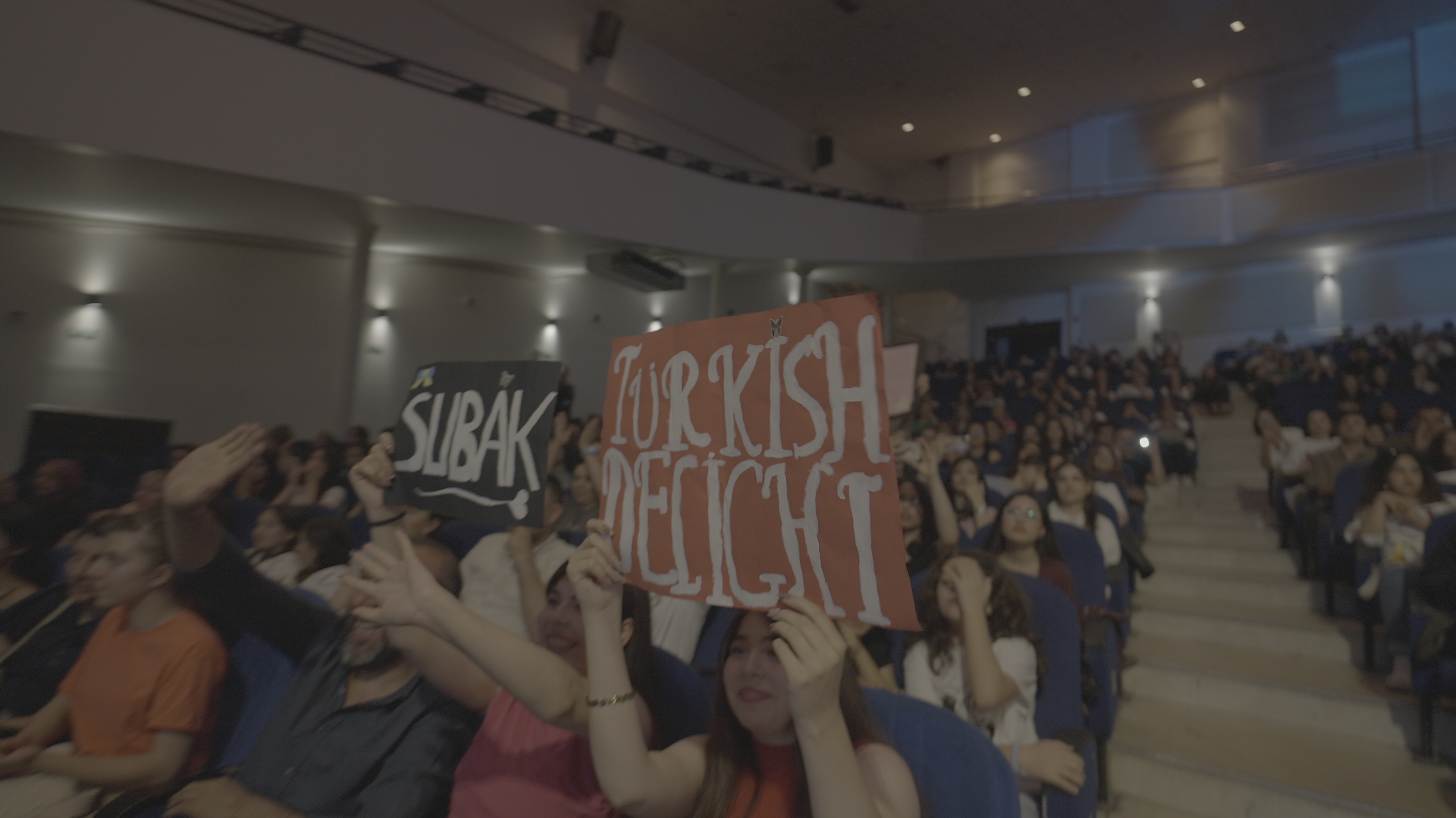 ▲ K-Pop 공연 보는 관객들의 모습