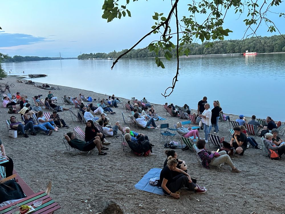 한국영화를 관람하는 헝가리시민