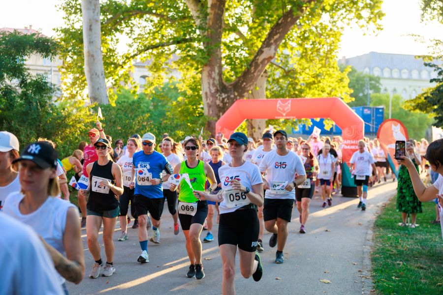 달리고 있는 참가자들