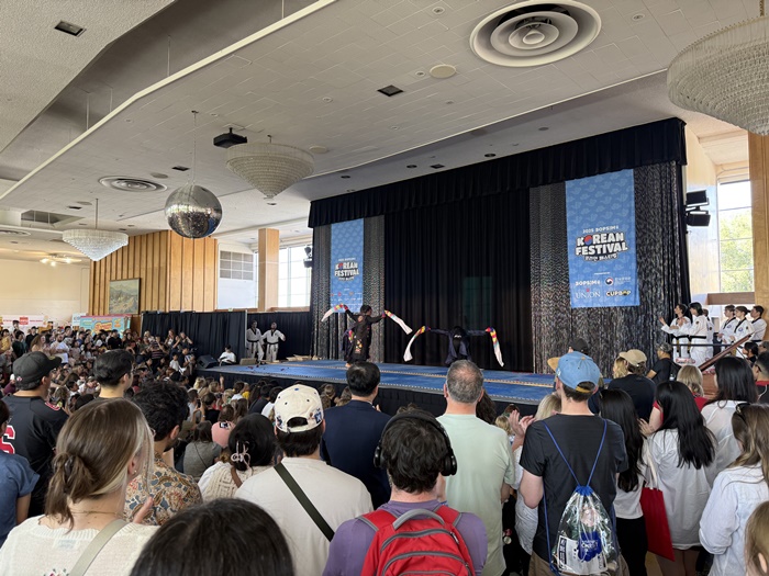 한국 전통 공연