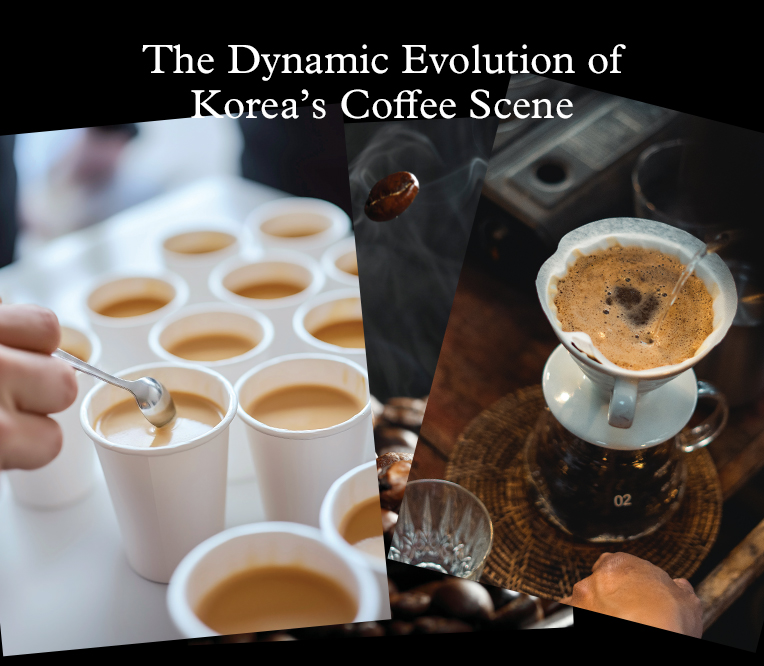 한국 커피의 역동적 진화