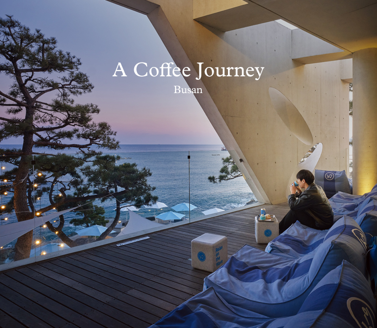 새로운 커피 도시, 부산