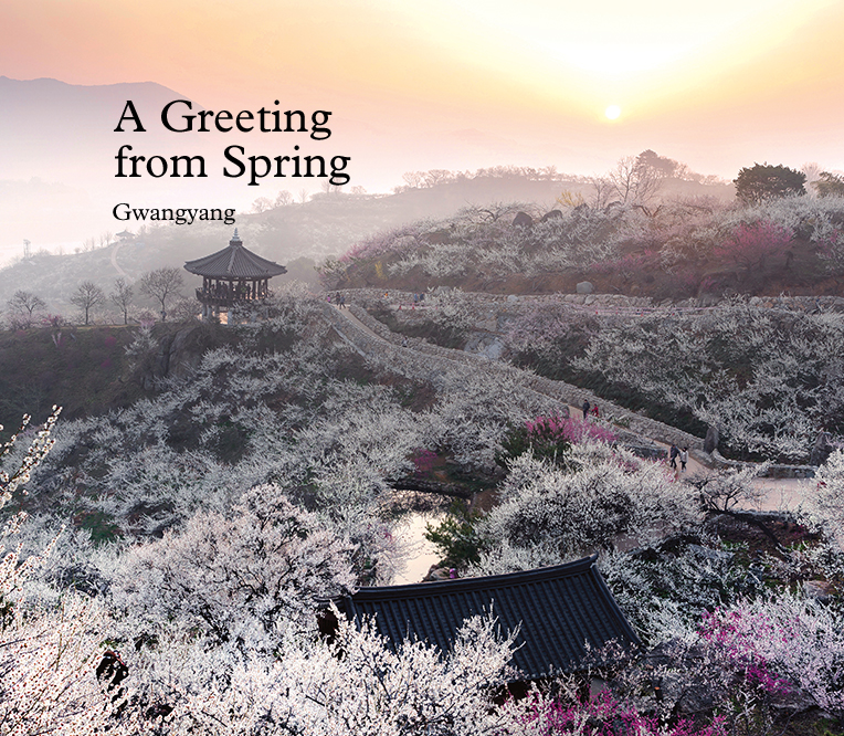 봄이 건네는 인사, 광양
