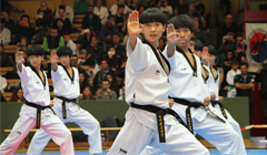 독일에서 열린 국제 태권도대회 