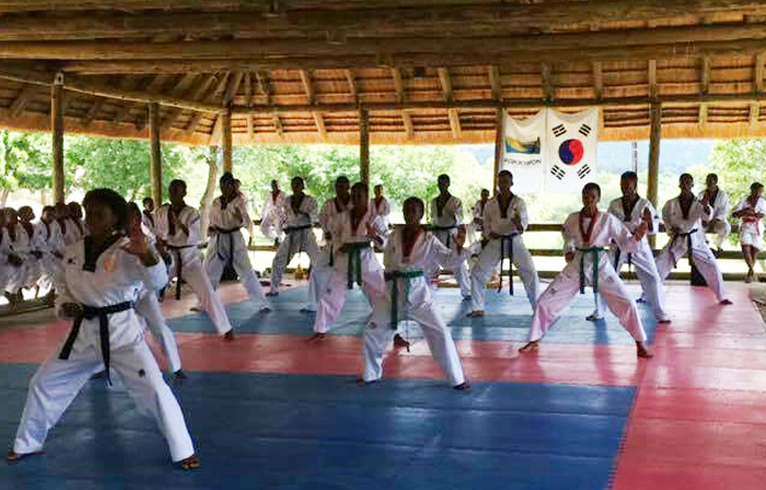 남아프리카공화국 시골에 울려퍼진 태권도 기합소리