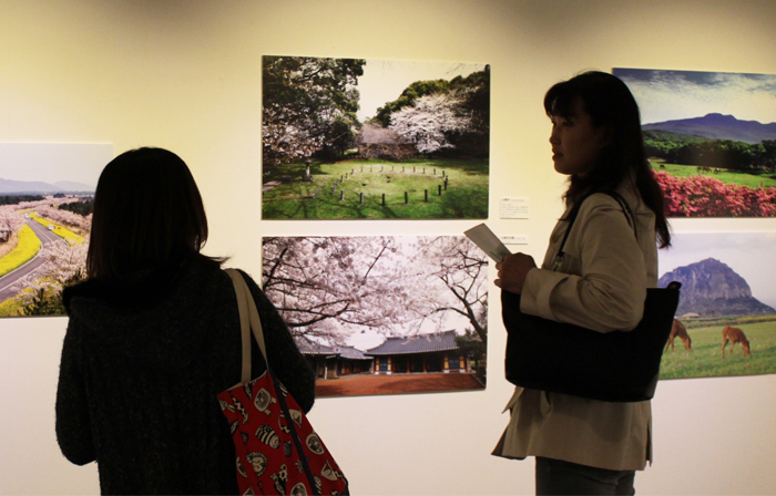 오사카에서 만난 제주