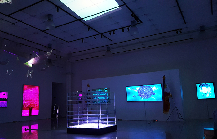 필리핀에 선보인 한국의 미디어아트 ‘영원한 빛’ 