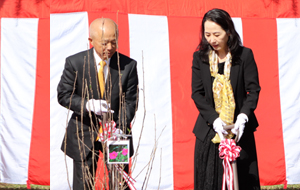 마루누마 예술의 숲에 자리한 무궁화 나무