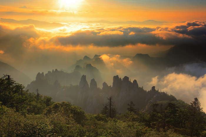 지리산‧설악산‧오대산 국립공원, 세계가 보호수준 인정