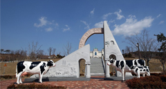 한국 치즈의 원조, 임실에 맛보러 오세요!
