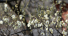 기다리던 봄, 그 따뜻함 속에 빠져든다