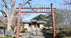 관악산에서 봄의 향기 느껴요