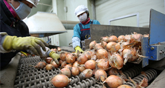 팔품(八品)의 고장 합천