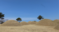 황금칼의 나라, 1,500년만에 부활하다